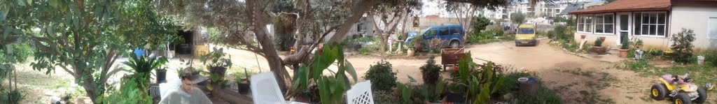 כפר אהרון