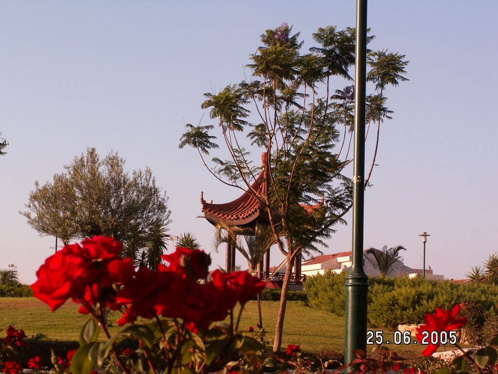 Nes-Ziona park