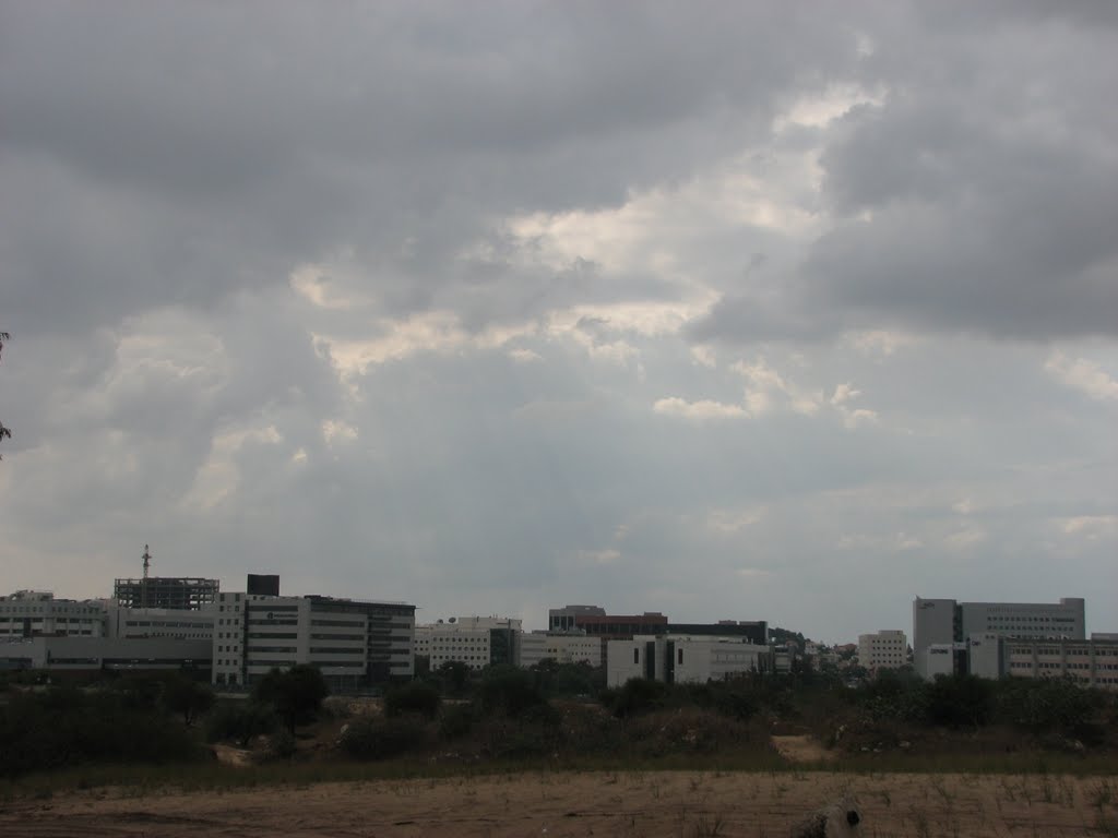 REHOVOT PARK TAMAR