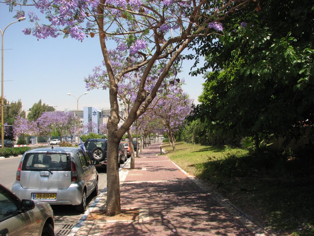 REHOVOT PARK TAMAR