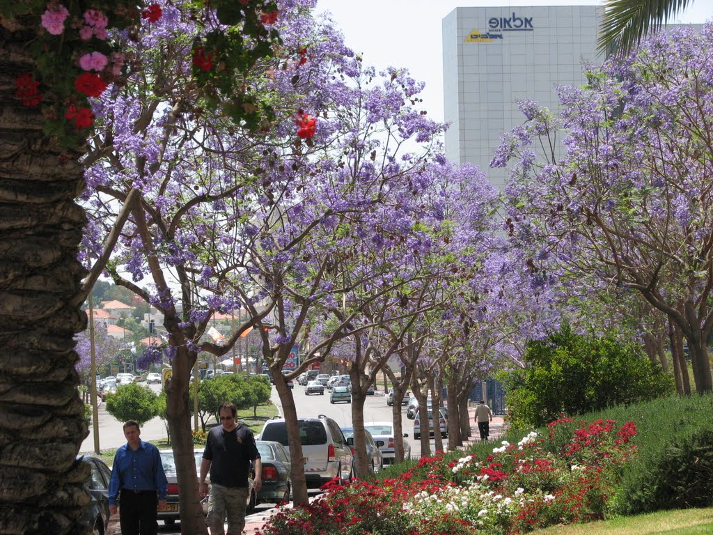 REHOVOT PARK TAMAR