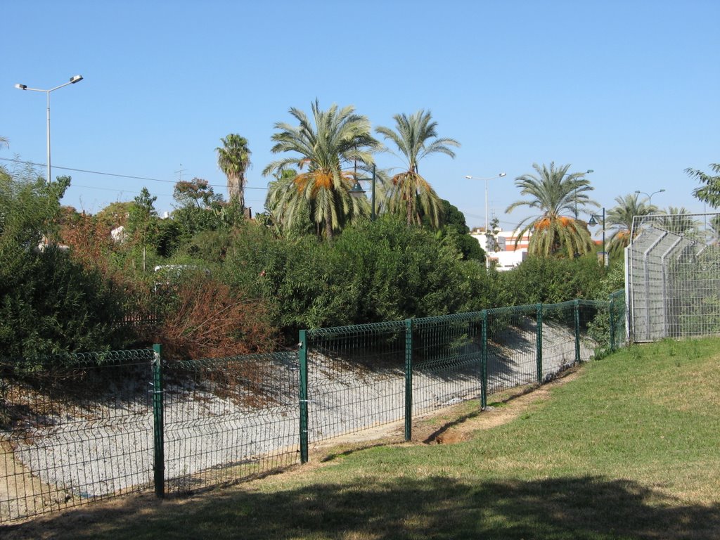 Nes-Ziona park