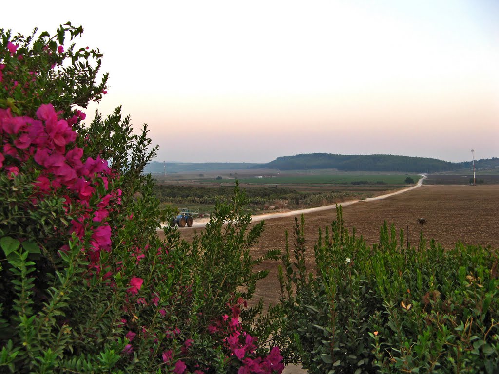 View from a moshav near Tel Aviv _ Israel