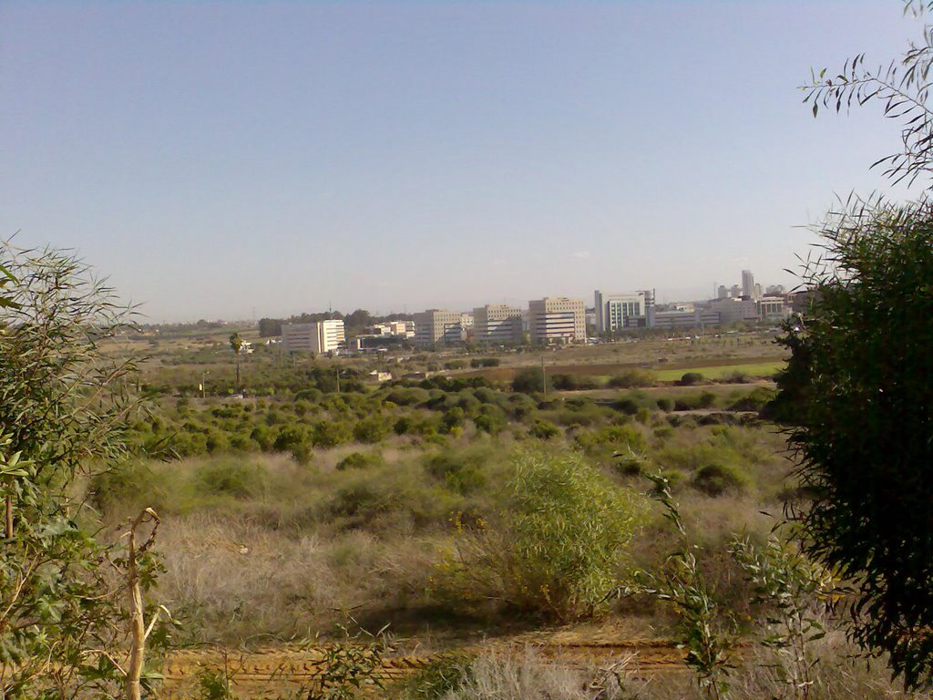 Nes-Ziona - Rehovot