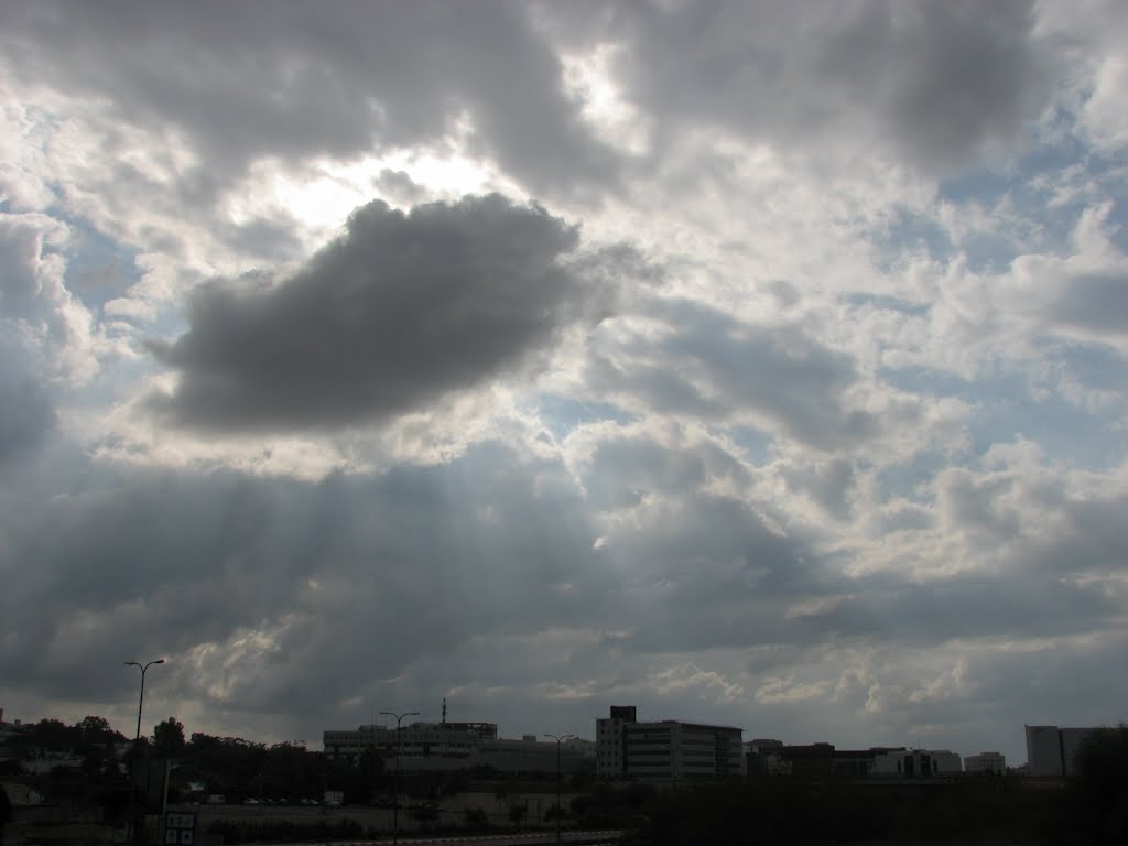 PARK TAMAR-CLOUDS