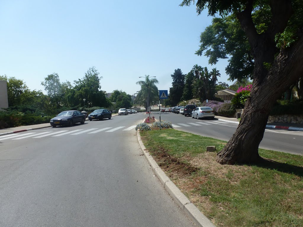 The main street at the Agriculture faculty, Rehovot