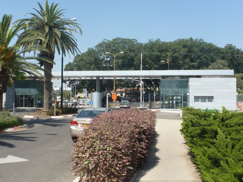The entrance to the Agriculture faculty, Rehovot (view from inside the faculty)