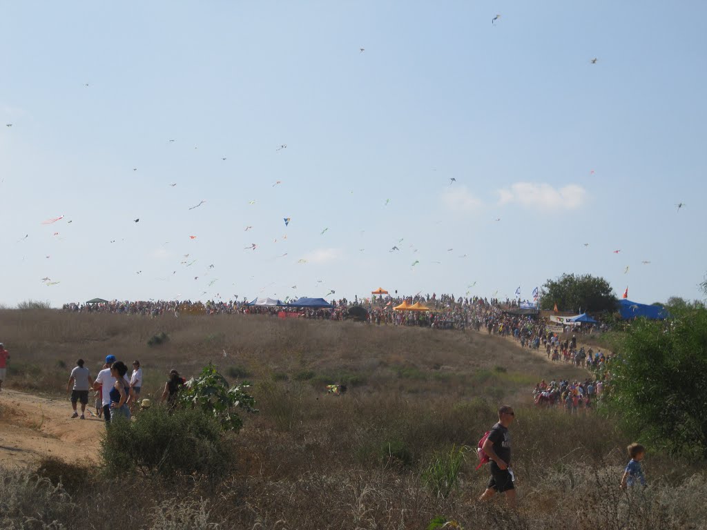 Afifoniada 2012