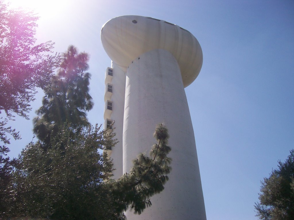 Weizmann Institute of Science 9