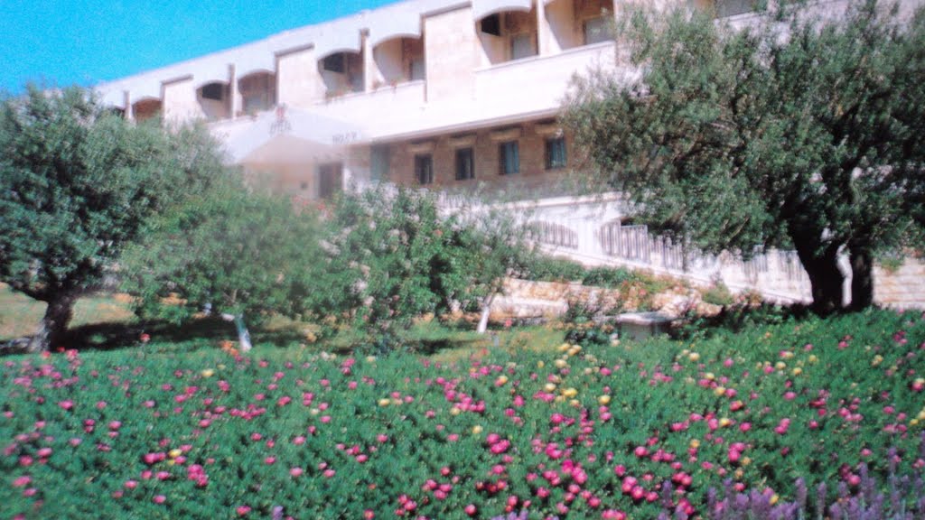 Istituto Paolo VI°