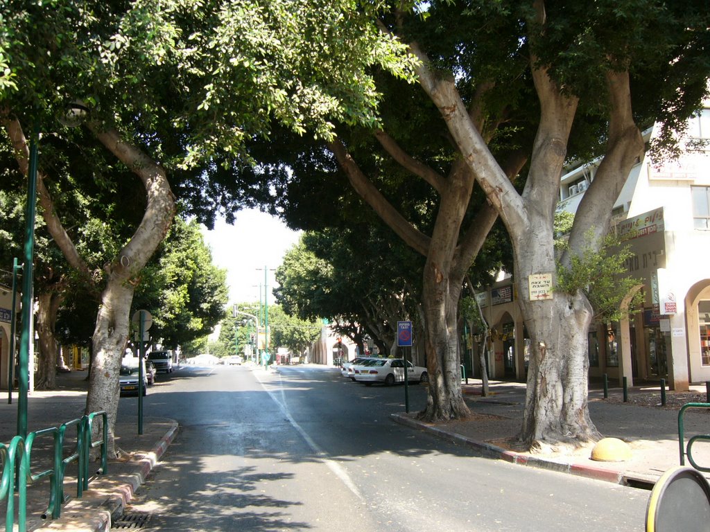 Rotchild street