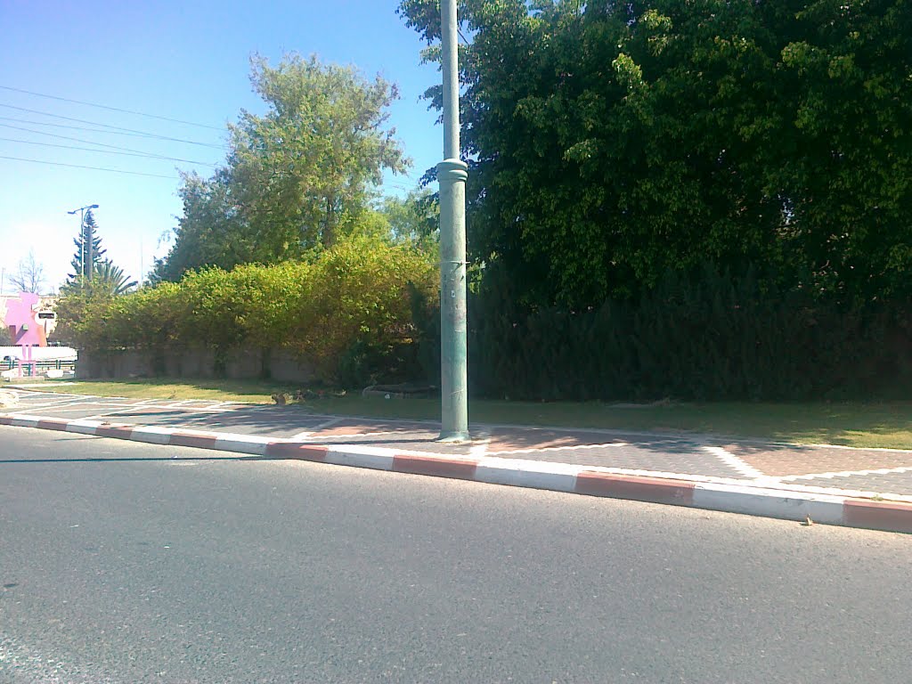 כביש בפתח תקווה