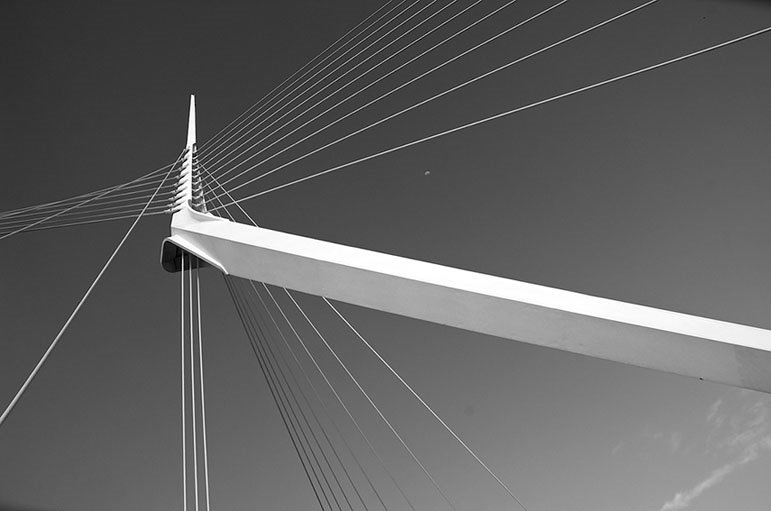 The Calatrava Bridge