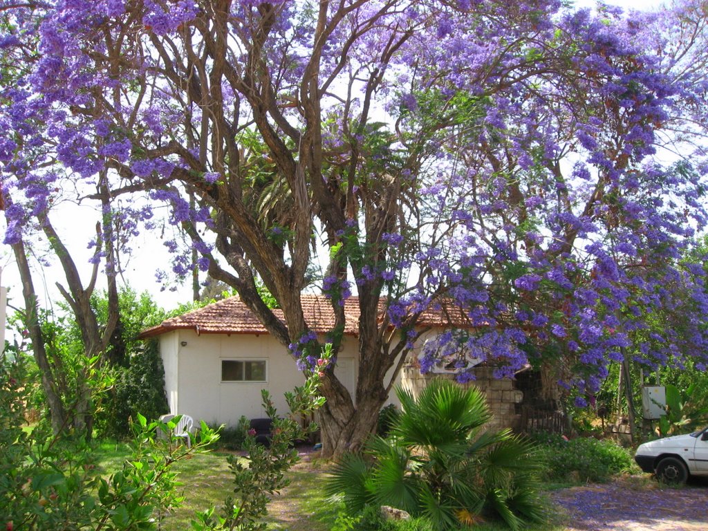 Haiim Nachman Bialiks house location (bolenat)