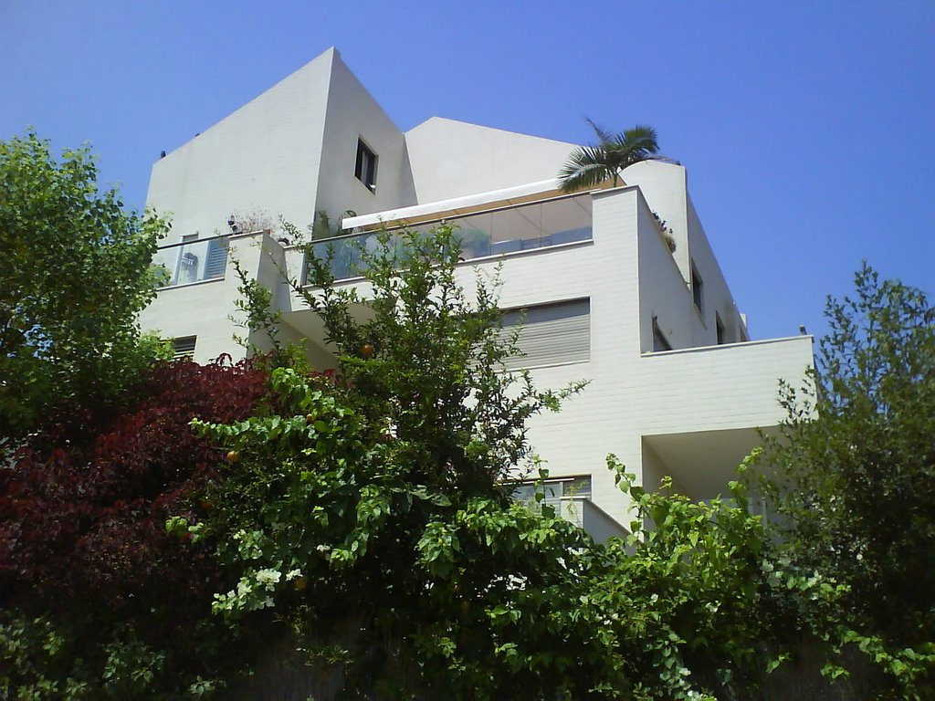 Hapamonim 19
