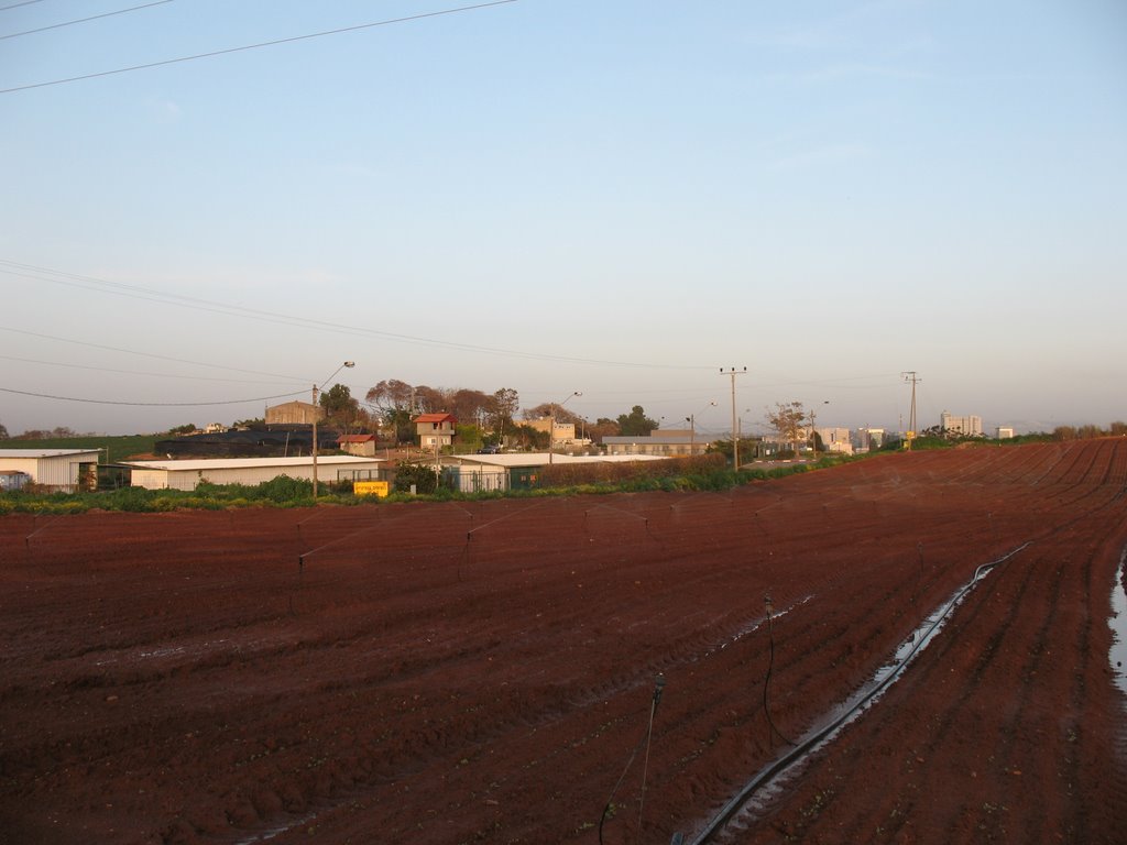 Kfar Nahman Area