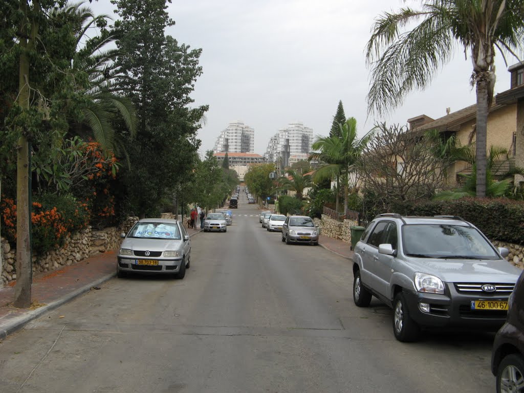 David Elazar St. Raanana. North