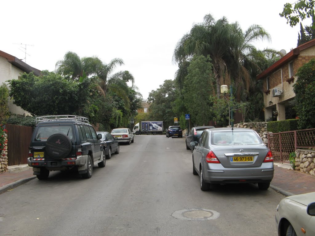 David Elazar St. Raanana. South