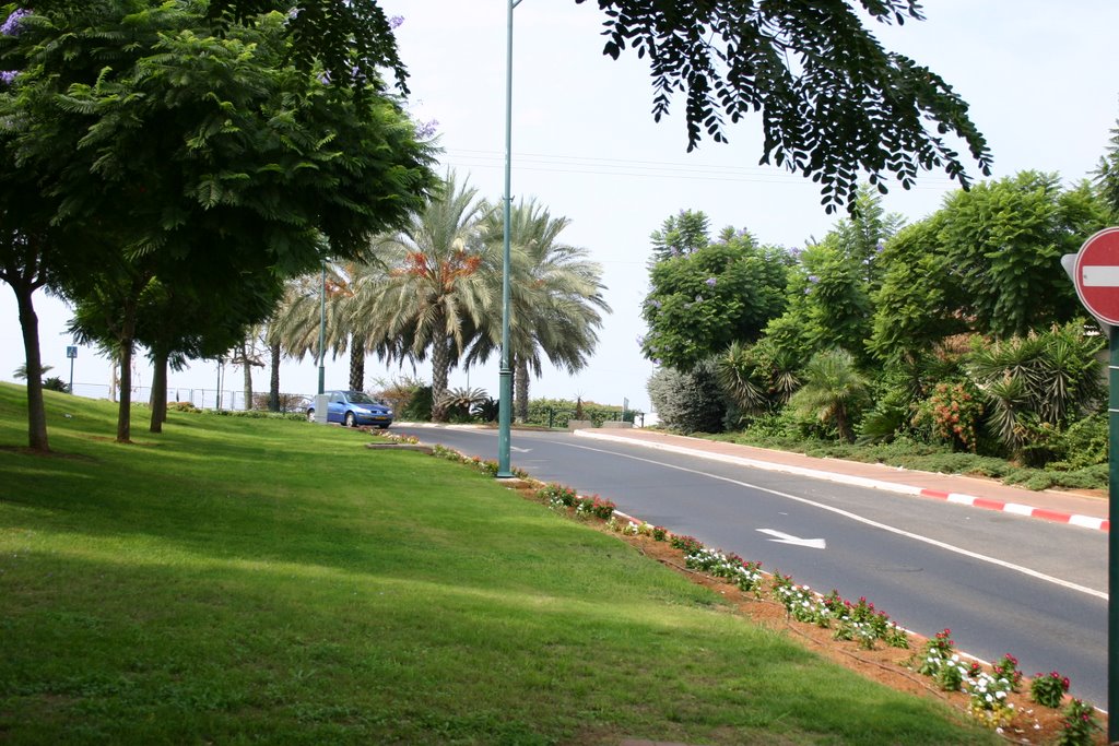 Raanana. Entrance to 2005 area