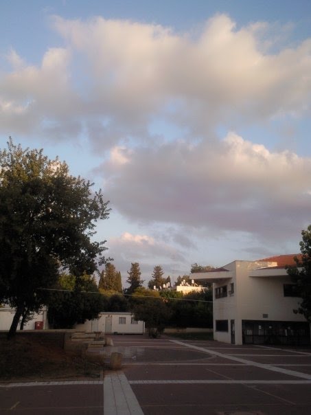 Metro-West high school, back yard