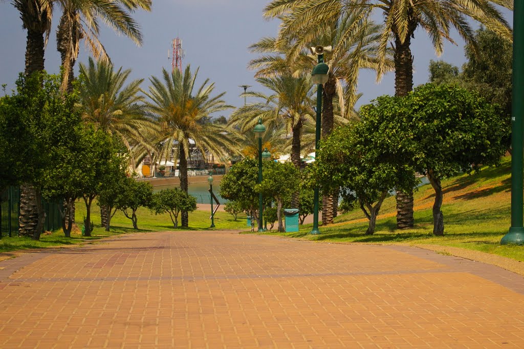 Raanana park - to the lake