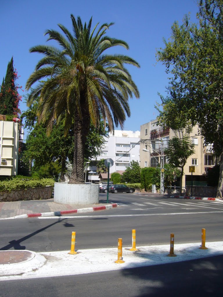 raanana ahuza