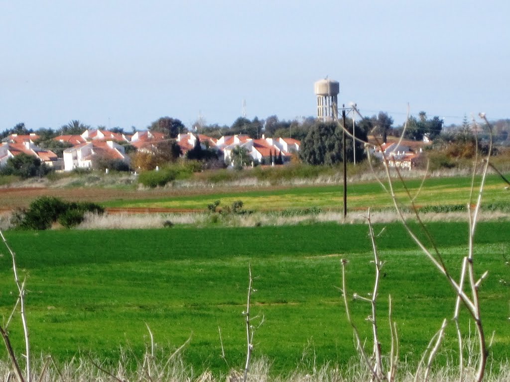 Kefar Shamaryahu 2011Dec
