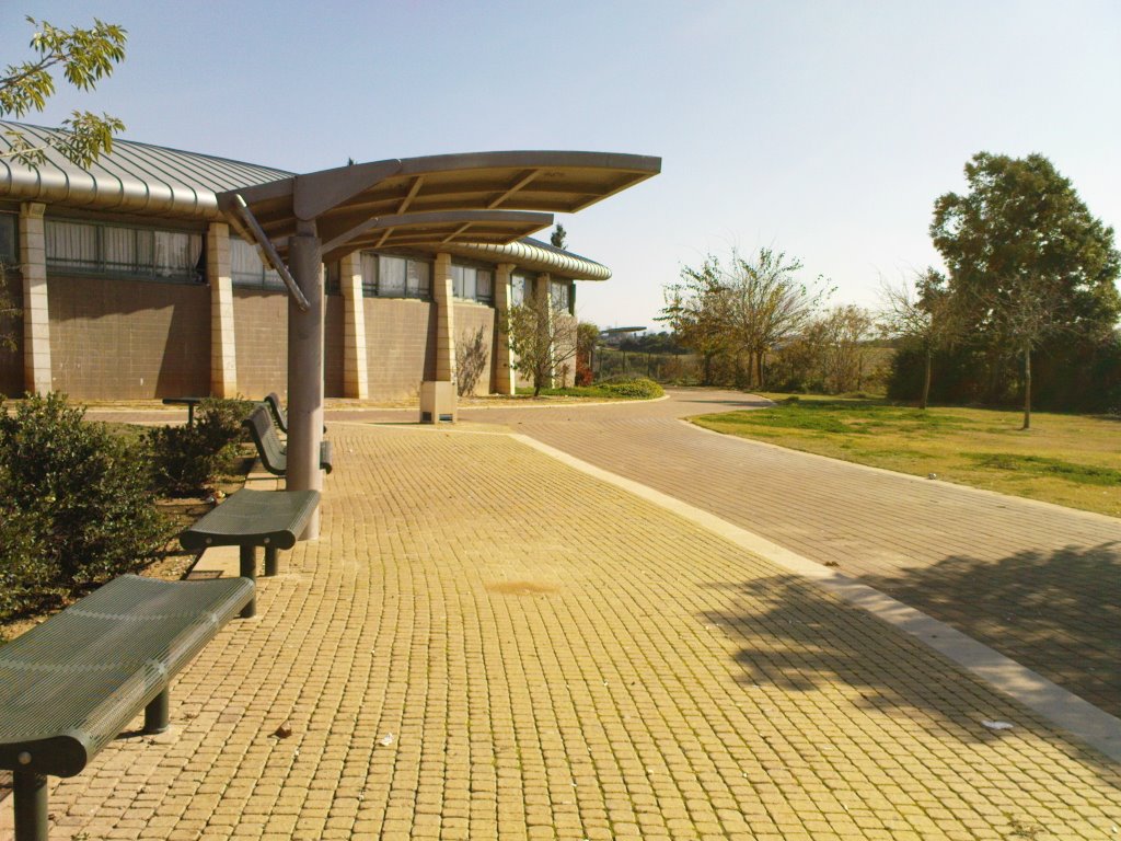 Aviv school