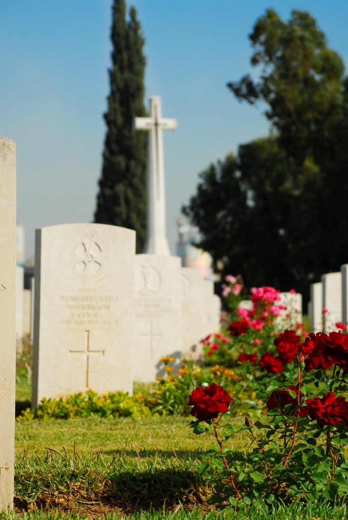British Military Cemetry, Ramle
