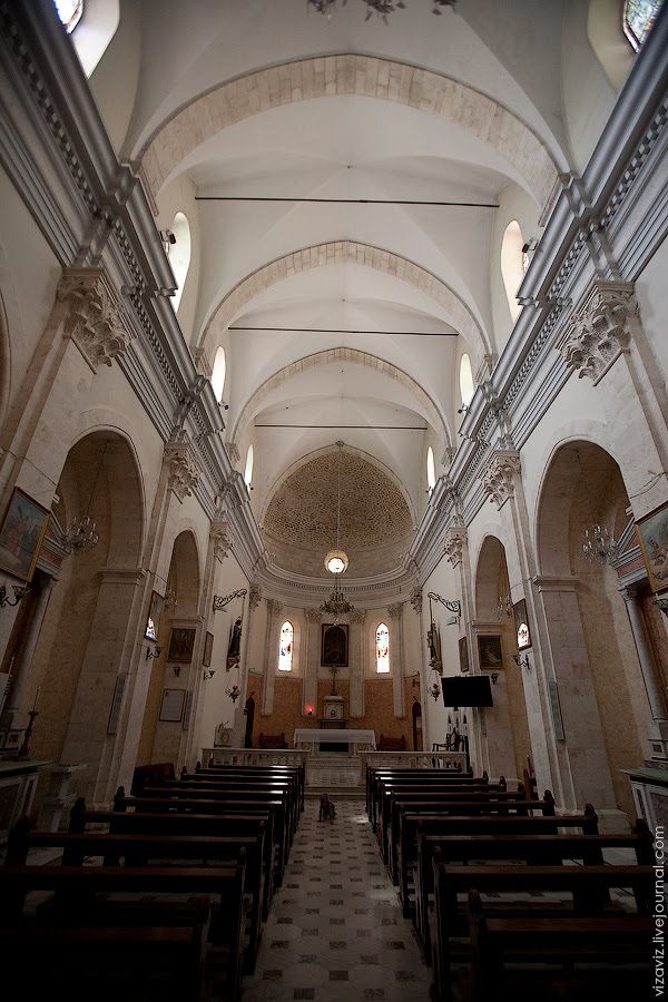 The Franciscan Hospice of St. Nicodemus and St. Joseph of Arimathea and the Franciscan Church