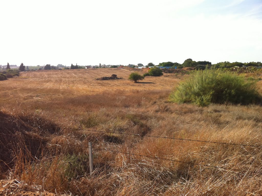 סתיו 2011