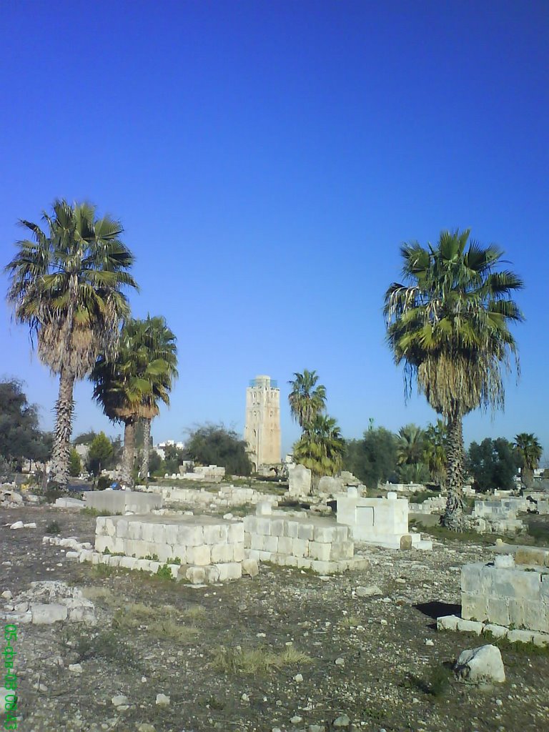 The moslem cementary
