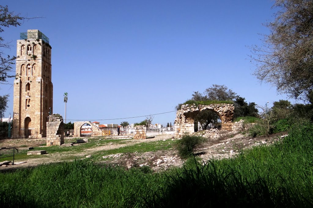 FIELDS OF OLD CITY RAMLA
