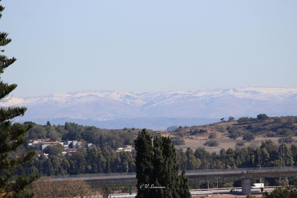 Judean Hills