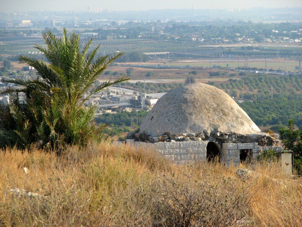An Arab Tomb