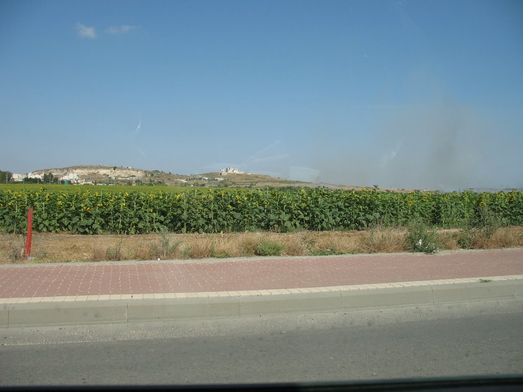 Migdal Tzedek view from Kibbutz Einat
