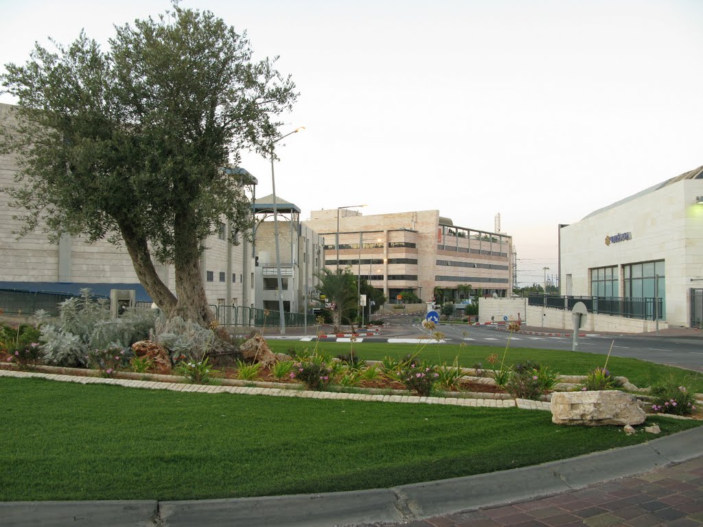 Roundabout Park Aphek