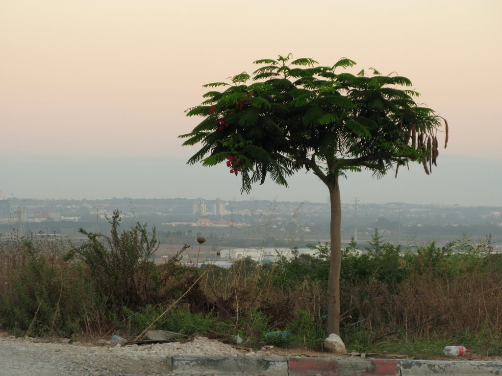 View to Petach tikva