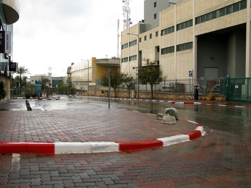 Amal street