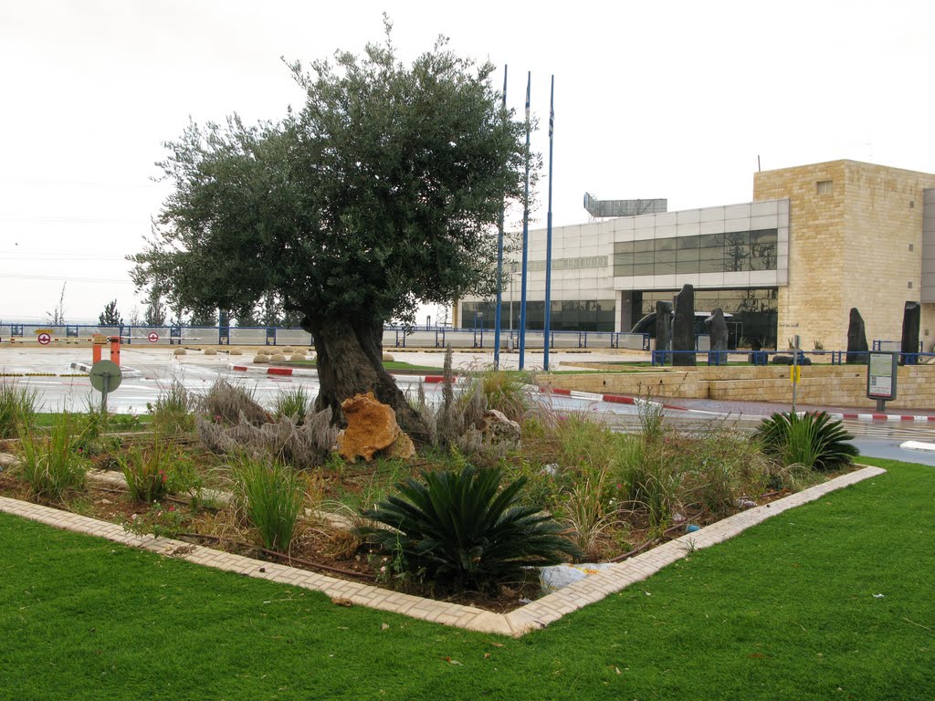Ha-Amal Roundabout