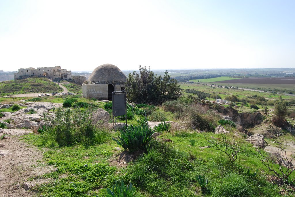קבר שייח ומגדל צדק