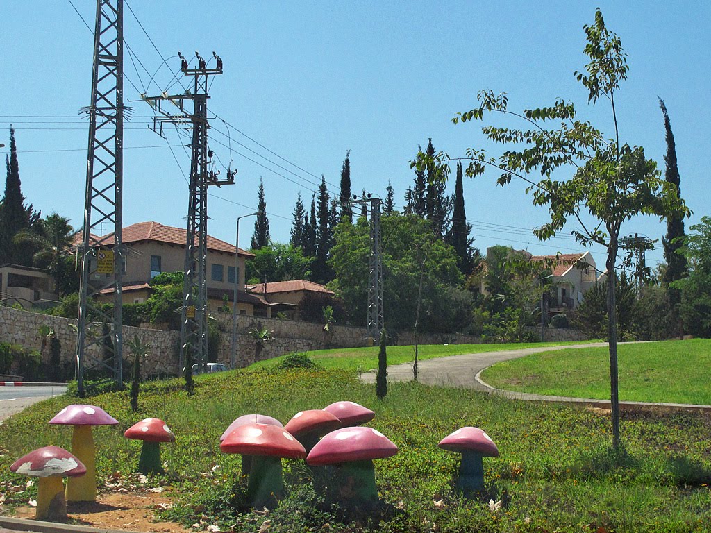 Mushroom in Rosh Haayin