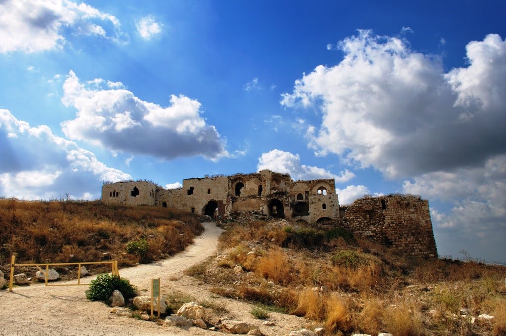 Migdal Afek