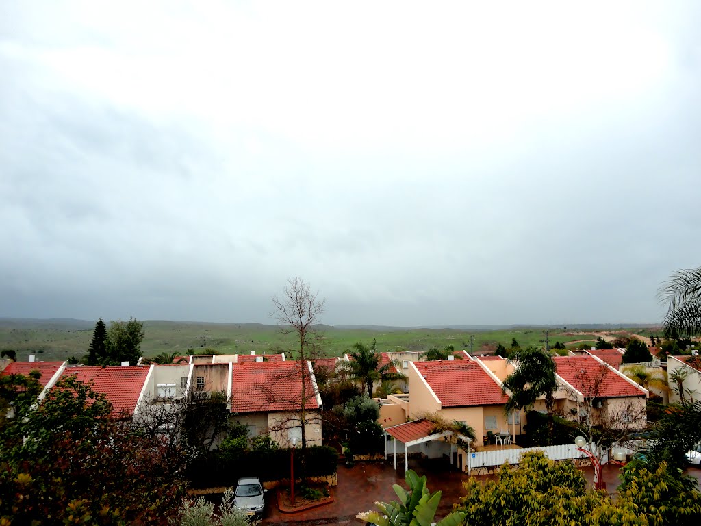 Rosh HaAyin, Avital St