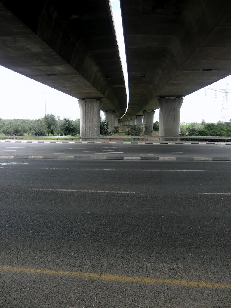Kafr ad Dīk