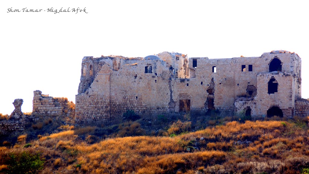 Migdal Afek מיגדל אפק