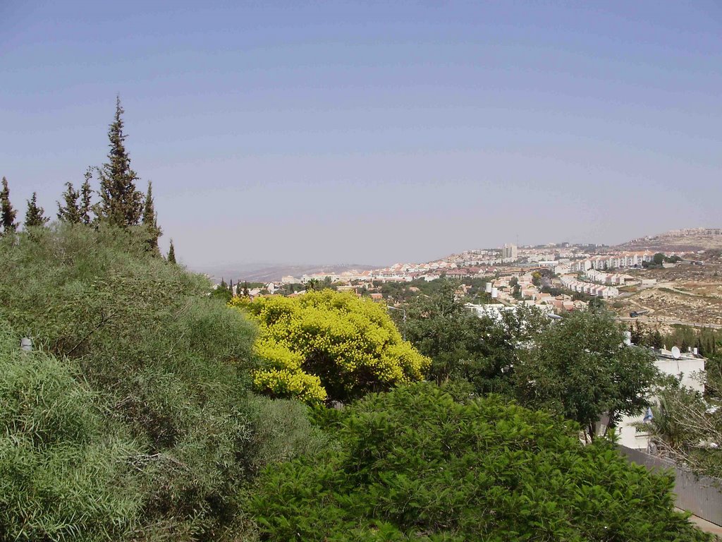 ARIEL - shomron