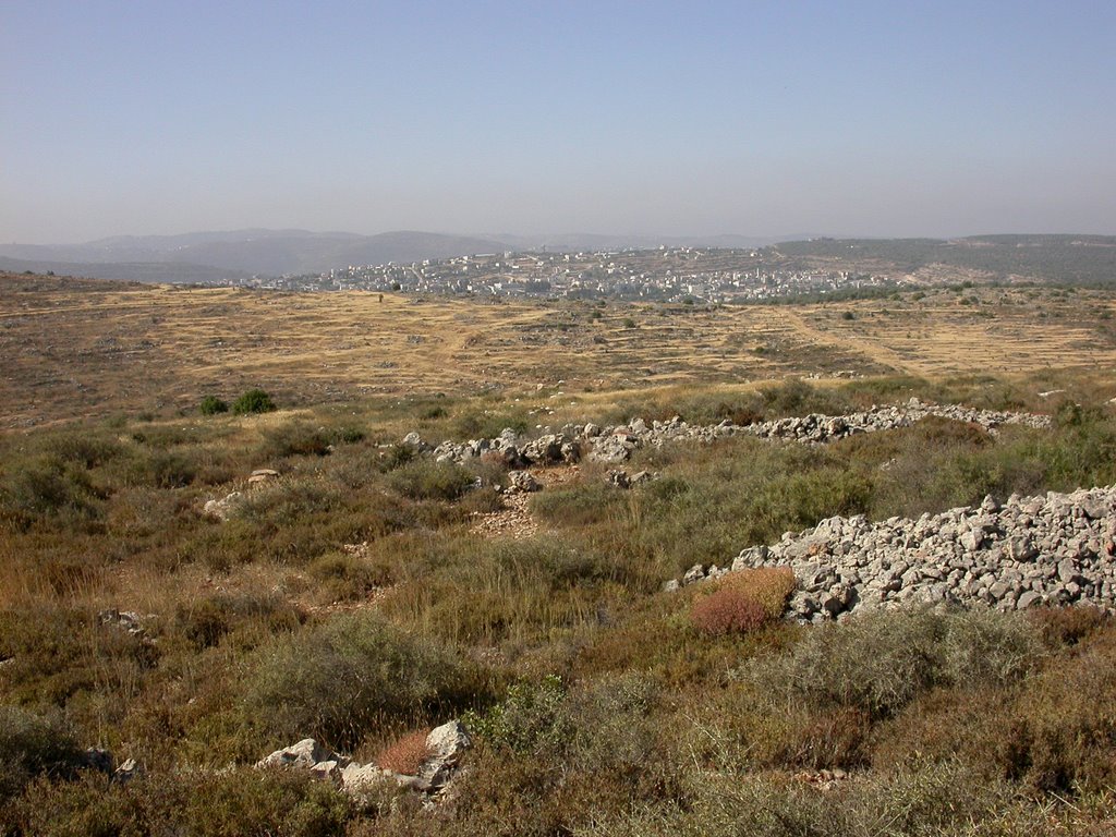 Morning view of Salfit (29-MAY-04)