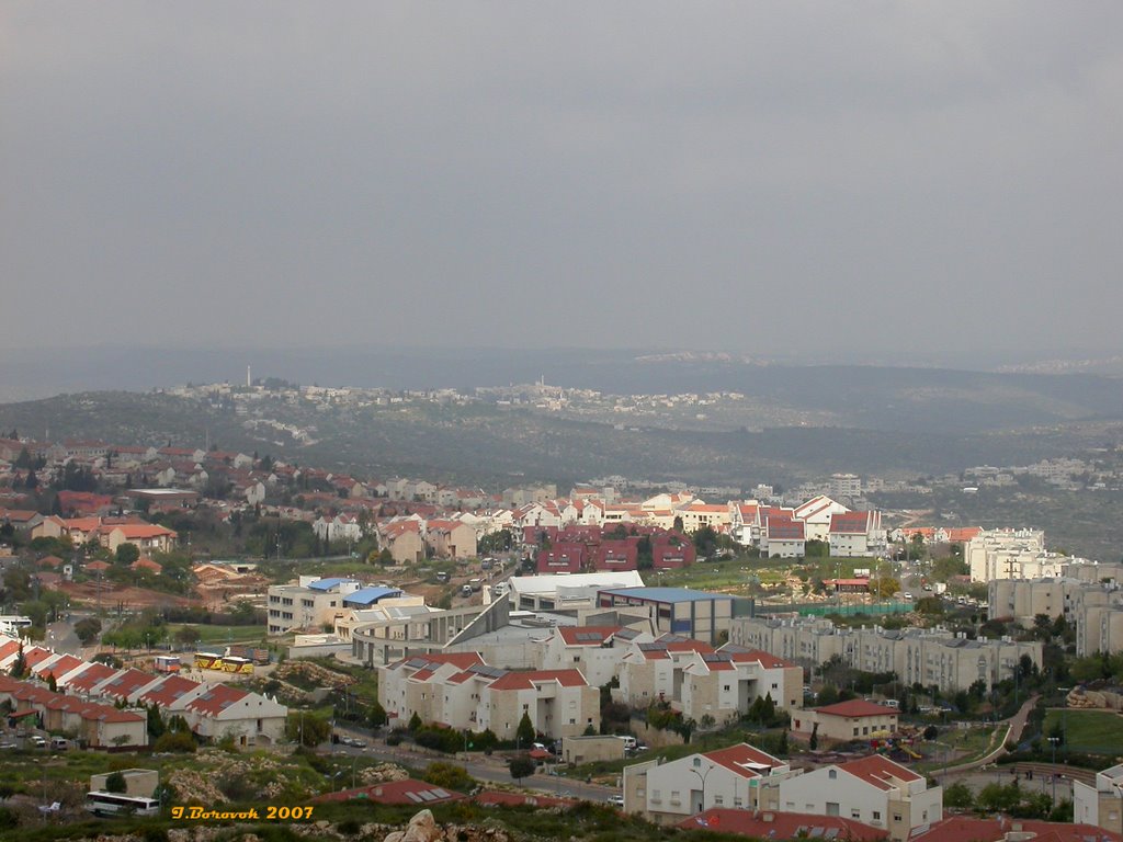 Ariel view, near noon (09-APR-07) #2