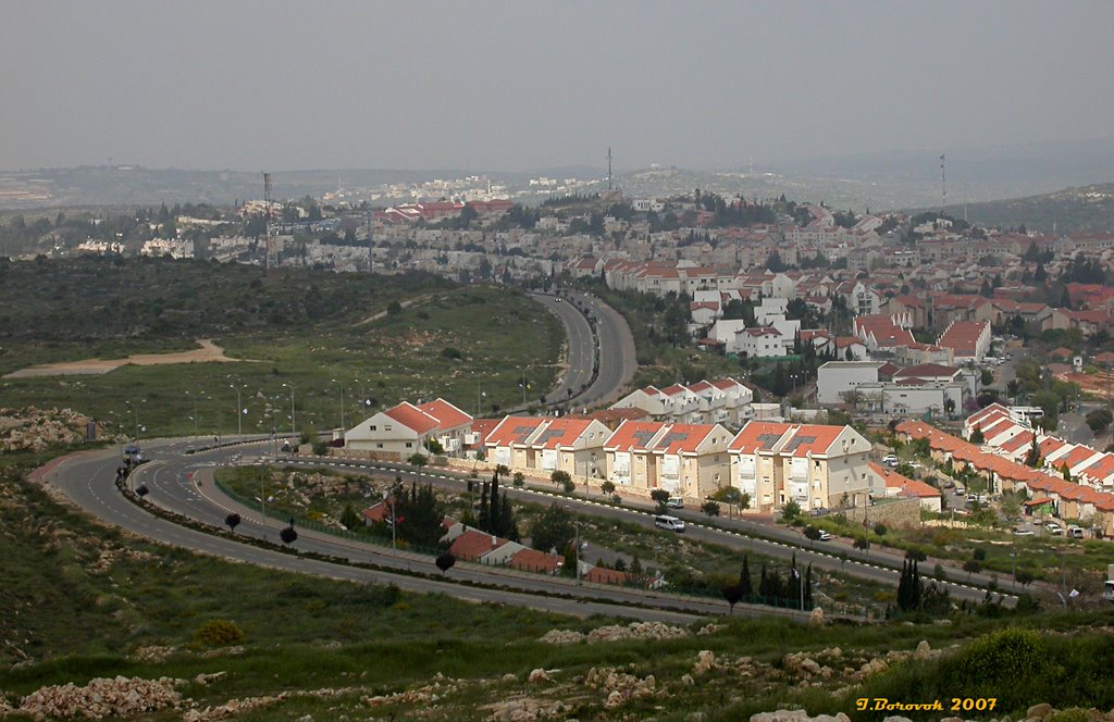 Ariel view, near noon (09-APR-07) #3